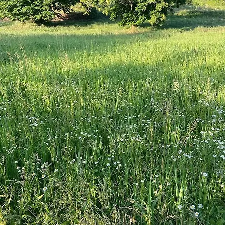 Lanizoladelroero Πανσιόν Sommariva Perno